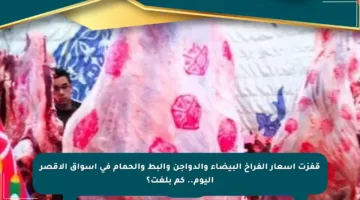 قفزت أسعار الفراخ البيضاء والدواجن والبط والحمام في أسواق الأقصر اليوم.. كم بلغت؟